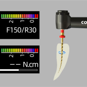 Accueil endo motor coxo ap+