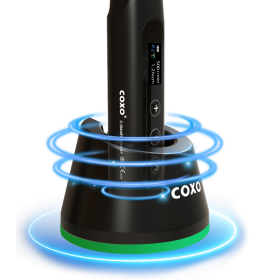 Accueil endo motor coxo ap+